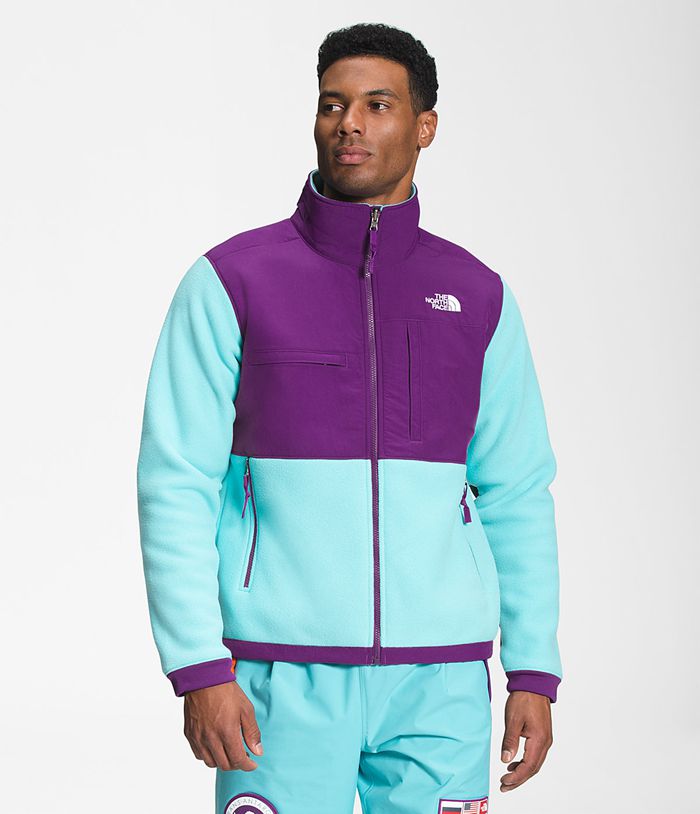 The North Face Softshell Μπουφαν Μπλε/Μωβ Ανδρικα Denali 2 Μπουφαν - Greece 4035AKRTF
